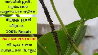 அஸ்வினி பூச்சி, எறும்புகளை ஒழிக்க செலவில்லாத சிறந்த பூச்சி விரட்டி How to get rid of Aphids and Ants