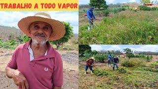 Serviço a Todo Vapor no Sítio Limpeza onde Vamos Fazer a Plantação de Capim +Milho tá Grande