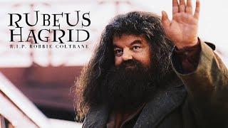 There’s no Hogwarts without you, Hagrid. (RIP Robbie Coltrane)