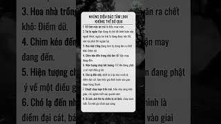 Những điềm báo tâm linh #phattrienbanthan #phattrientuduy #unclet #tamlinh