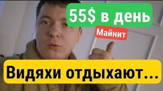 55$ в день... видеокарты отдыхают...