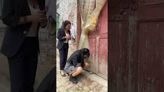 #看一遍笑一遍 奶奶今天开心了 #婆媳大战 #和婆婆的日常生活