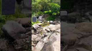 Hong kong nature