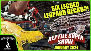 ODDEST REPTILES AT THE POMONA REPTILE SUPER SHOW (January 2024)