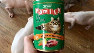 Бюджетный паштетик   для кошек! Мои Канадские Сфинксы  от него в восторге!