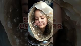 "40대, 50대, 60대…“피곤한 게 아니라… 내 인생이 말을 거는 거였어요”