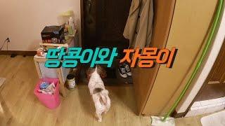땅콩이와 자몽이가 만났어요! 아파트 뿌셔뿌셔! (with 자몽맘 스쿱)