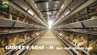 A&H Type Layer Chicken Cage | Poultry Cage