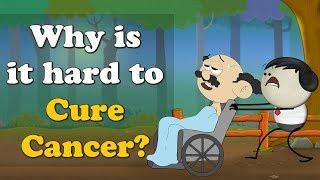 Why is it hard to Cure Cancer? + more videos | #aumsum #kids #science #education #children