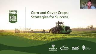 Corn and Cover Crops: Strategies for Success