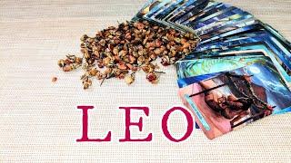 LEO ︎ Major Luck & Abundance! You Will be Smiling From Ear to Ear! JUNE 23rd-29th