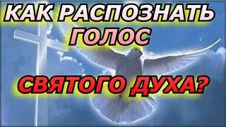 Как научиться распознавать голос Святого Духа.3 Практических совета пастора Дэвида Дига Хернандеса