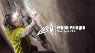 Ethan Pringle | The Nest V15