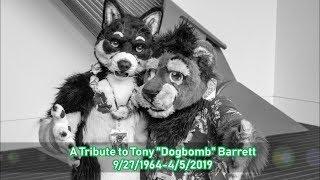 A Tribute to Dogbomb: All Dogs Go To Heaven