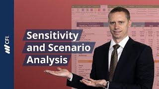 Sensitivity & Scenario Analysis Model