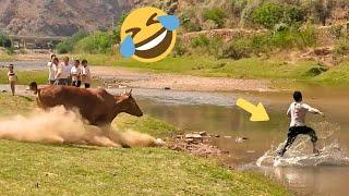 TRY NOT TO LAUGH  Best Funny Videos compilation - Fail Of Videos  P19