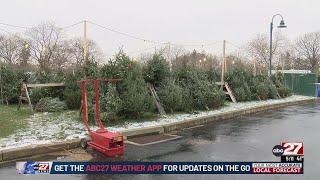 Colonial Park Fire Company holding annual Christmas tree sale