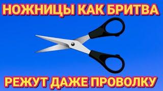 Как ПРОСТО заточить любые ножницы дома , до бритвенной остроты за 1 МИНУТУ