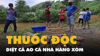 Mua thuốc độc diệt cả ao cá nhà hàng xóm