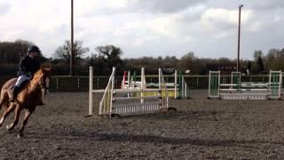 Snowball farm showjumping