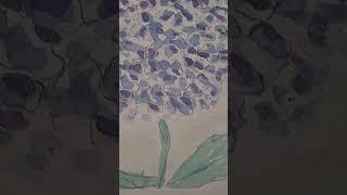 #diezürcherin Hortensie Hydrangea #aquarell #art #short #shorts