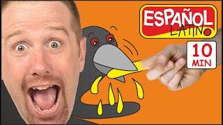 La Familia Dedo + MÁS | Cuentos para Niños | Steve and Maggie Español Latino