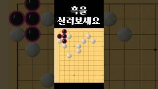 쉬운 바둑 사활 - 흑을 살릴 수 있습니까?