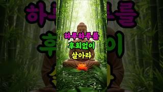 하루하루를 후회 없이 살아라, 그 길 위에 복이 깃들리니 #부처님말씀 #후회없는삶 #오늘을살자 #불교명언 #마음공부