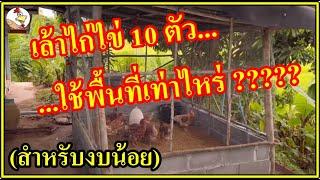 "ไก่ไม่ตายระหว่างเลี้ยง หากทำตามนี้" ไก่ไข่ 10 ตัวใช้พื้นที่เท่าไหร่? โทร. 061-558 3086 