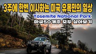 3주에 한번 이사하는 미국 유목민의 일상/ 라면엔 까나리 액젓/Yosemite Mariposa Grove Trail