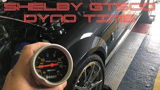 SHELBY GT500 DYNO RUNS  @DaSilvaRacing