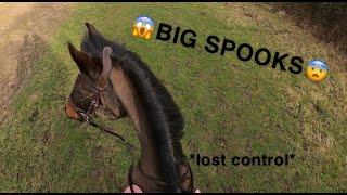 VERY spooky hack! | GoPro | Emme Equestrian