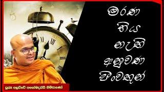 සෝවාන් පුද්ගලයටත් අධික මෝඩයාටත් නැති මරණ භිය.. ඔබත් මරණ භිය ඇති කරගන්න..අප්‍රමාදි වෙන්න...