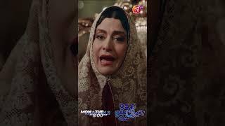 Ap Nay Mirza ko Kiu Marwaya|| Jeyran || Episode 02 || AAN TV