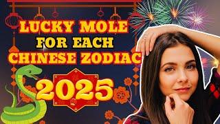 Lucky Mole for Each Chinese Zodiac Sign in Year 2025 | Ziggy Natural