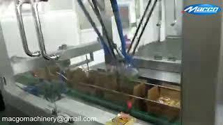 Automatic big box cartoning machine