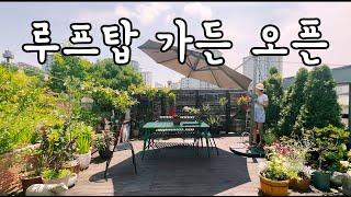 루프탑 가든 오픈! Rooftop Garden Opened! #루프탑 #정원