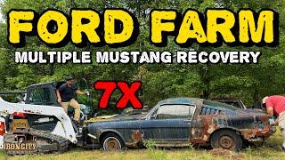 Picking a Ford farm full of abandoned fastback mustangs, are they too rough to rescue?