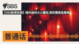 【SBS新闻快报】维州森林大火蔓延 居民需紧急撤离 | SBS Mandarin - SBS 普通话电台