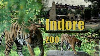 Indore zoo...| चिड़ियाघर इंदौर