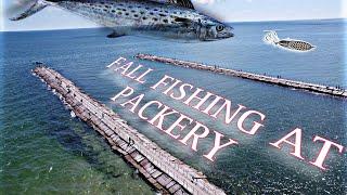 Fall season JETTY Fishing at Packery Channel is on FIRE