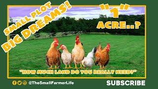  How Much Land Do You Need to Live On?   #livingonyourland #howmuchlandtoliveon #liveonyourland
