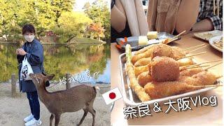 奈良＆大阪Vlog｜悠閒旅遊｜東大寺、春日大社、一日訓鹿師、通天閣炸串、最愛的起司蛋糕️、四年不見的好友｜Day11｜Eve 伊芙,留日生活中