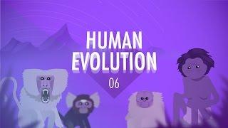 Human Evolution: Crash Course Big History #6