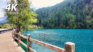 Walking Tour of the Most Beautiful Place in China, Jiuzhaigou Valley in Sichuan