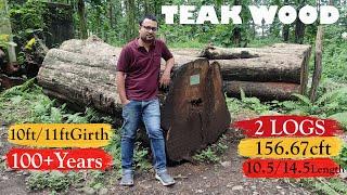 Teak Wood Price ll  Teak Wood Market  ll Tectona Grandis