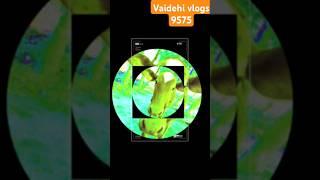 ️vaidehi vlogs 9575 minivlogs #minivlogs #vlogs