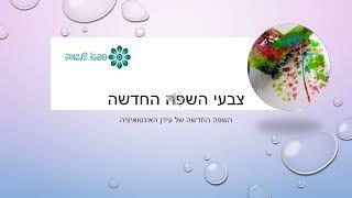 עדינה חיים ספא לנשמה | רוחניות מעשית | צבעי השפה החדשה של עידן האינטואיציה