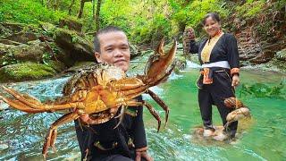 Dwarf Family Primitive Life: Takes Daughter to School and Catches Giant Mountain Crab!