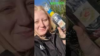 Ура! Найдена бутылочка Фонтанка. Призы от Зоотропа. С Новым Годом! Подписчик. Вино Таирова. #зоотроп